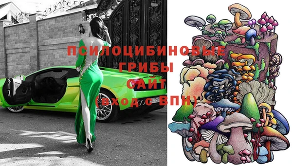 а пвп мука Гусев