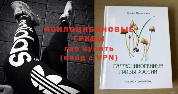 а пвп мука Гусев