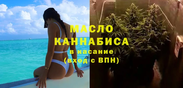 тгк Дмитров