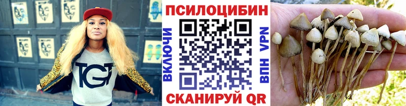 Купить закладки  Калач-на-Дону  Псилоцибиновые грибы мухоморы 